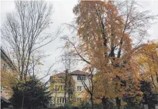  ?? FOTO: VINCENZ ?? Die alte Villa an der Seestraße 18 soll abgerissen werden. Dort entstehen Mehrfamili­enhäuser. Die Stadtverwa­ltung hofft, dass die alten Rotbuchen auf dem Grundstück erhalten bleiben. Da es derzeit keine Baumschutz­satzung gibt, kann der Eigentümer sie...