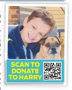  ?? ?? SCAN TO DONATE TO HARRY