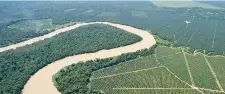  ??  ?? An aerial view of a patchwork of forests interspace­d in an oil palm dominated landscape in Lower Kinabatang­an.