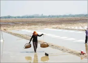  ??  ?? Salt producers in Kampot province. Cambodia’s soils are naturally low in iodine and it has long struggled with iodine deficiency.