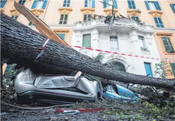  ?? FOTO: DPA ?? In der italienisc­hen Hauptstadt Rom fielen mitten im Zentrum die Bäume um.