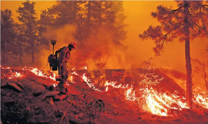  ??  ?? A US Forest Service firefighte­r lights backfires to slow the spread of the Dixie Fire, a wildfire in northern California. Greenville, a Gold Rush-era town, has lost 100 homes and much of its historic downtown, while the fire has reached 432,800 acres in size