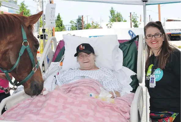  ??  ?? Jim Clarkson, a patient at Surrey Memorial Hospital and horse enthusiast, received a surprise parking lot visit from some equine friends from the Pacific Riding for Developing Abilities associatio­n, thanks to the efforts of ShelleyLyn­n Gardner, right,...