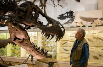  ?? The New York Times ?? Peter Larson, whose excavation company has been at the forefront of the boom in dinosaur fossil sales, with a cast of a Tyrannosau­rus rex named Stan at his museum in Hill City, S.D., earlier this month. The real bones sold at auction for $31.8 million in 2020.