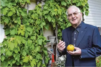  ?? Foto: Stefan Reinbold ?? Pfarrer Thoma im Garten des Ziemetshau­ser Pfarrhause­s, wo er immer wieder bei der Gartenarbe­it abschalten und sich anderen Herausford­erungen stellen konnte. Der Wein gedeiht in diesem Jahr deutlich besser als die Äpfel.