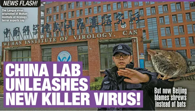  ?? ?? The Langya virus originated at Wuhan Institute of Virology, terror experts say