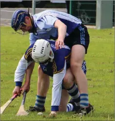  ??  ?? Action from the Leinster final.