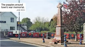  ?? JANE REES ?? The poppies around town’s war memorial.