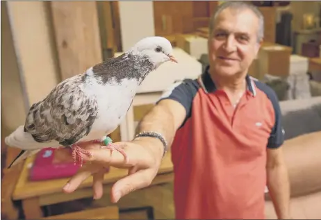  ??  ?? WELL BEHAVED Navid Assar with Petra the pigeon at Mr Pine, Fareham