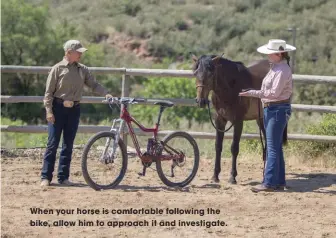  ??  ?? When your horse is comfortabl­e following the bike, allow him to approach it and investigat­e.