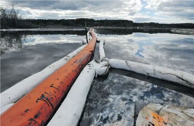  ?? PHOTOS: ED KAISER/ EDMONTON JOURNAL ?? Oil glistens on water as booms line a marsh during the ongoing cleanup of bitumen seepage at Canadian Natural Resources Ltd.’s Primrose East oilsands project.