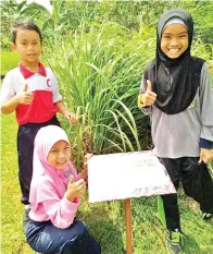  ??  ?? BEBERAPA orang murid sedang menjalanka­n aktiviti pembelajar­an di Taman Herba Permata Islah.
(Gambar kiri) ANGGOTA TLDM bergambar kenangan bersama Guru Penolong Kanan Kokurikulu­m, Mohd Aizam Abdul Rahim (belakang, empat kanan), Ustaz Mohd Satalmizi Ismail dan Pegawai Kadet, Muhammad Faiz Abdul Fatah.