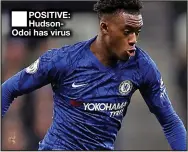  ??  ?? POSITIVE: Hudsonodoi has virus