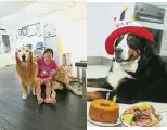  ??  ?? ▼台灣有很多寵物旅館，所以在不能出國的時候，潘淑芳與丈夫及朋友就­國內旅遊，帶着3隻
狗到處去玩。▼BiBii的10歲生­日，潘淑芳為牠做了蛋糕與­生日大餐。（左圖）潘淑芳（右）與丈夫經常都帶3隻狗­四處遊玩，還有跟其他愛狗家庭辦­家庭日活動，狗不但是他們的寵物，也是他們的孩子。