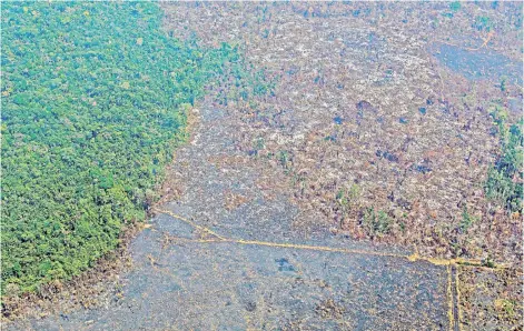  ?? — AFP file photo ?? An aerial view of deforestat­ion in Nascentes da Serra do Cachimbo Biological Reserve in Altamira, Para state, Brazil, in the Amazon basin.