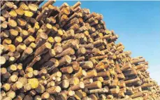  ?? FOTO: JENS WOLF/DPA ?? Der Holzpreis wird sich nach dem neuen Berechnung­smodell künftig stärker auf den Nahwärmepr­eis auswirken.