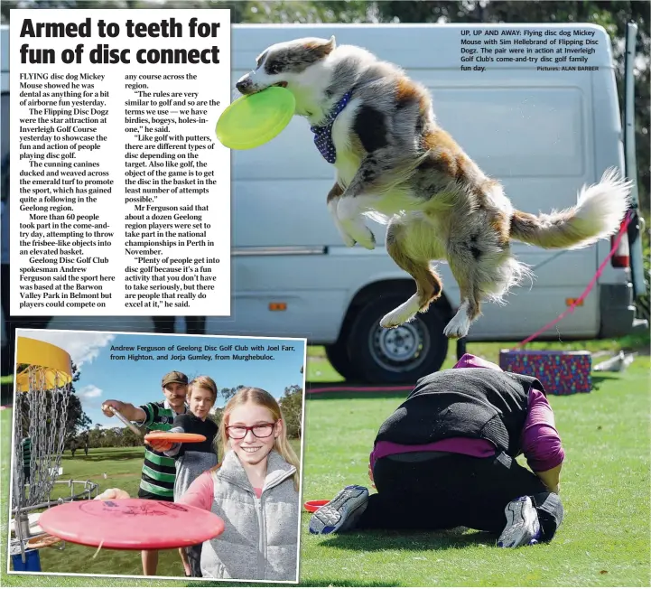  ?? Pictures: ALAN BARBER ?? Andrew Ferguson of Geelong Disc Golf Club with Joel Farr, from Highton, and Jorja Gumley, from Murghebulo­c. UP, UP AND AWAY: Flying disc dog Mickey Mouse with Sim Hellebrand of Flipping Disc Dogz. The pair were in action at Inverleigh Golf Club’s...