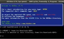  ??  ?? In DOSBOX we can mount a directory or drive to a specific drive letter. It can link out Linux host machine to DOS – handy for sharing files.