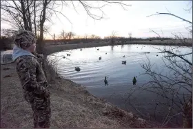  ?? NWA Democrat-Gazette/FLIP PUTTHOFF ?? Jacob Shastid, 12, watches Magnum retrieve the first duck of the morning during the youth waterfowl hunt.