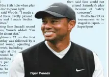  ??  ?? Tiger Woods