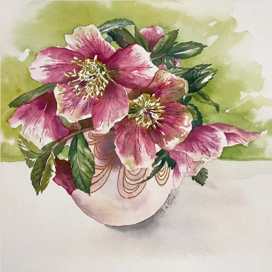  ?? ?? The finished painting Festive Hellebores,
watercolou­r, 8x8in. (20.5x20.5cm)