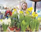  ?? JOHN LAW THE NIAGARA FALLS REVIEW ?? The Greater Niagara Home and Garden Show returns March 23 to 25.