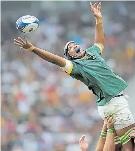 All Blacks vs. Springboks, la final para coronar a un tetracampe­ón ...