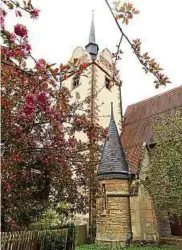  ??  ?? Frühling in Gera an der Kirche St. Marien – ein Schnappsch­uss von Volker Kötzsch aus Gera. Liebe Leser, vielen Dank für die tollen Fotoideen. Gelingt auch Ihnen ein originelle­s oder witziges Foto zu Hause, im Garten oder auf Reisen, senden Sie es bitte...