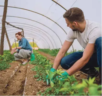  ?? [ISTOCK] ?? Depuis cinq ans, 44 projets pour une agricultur­e écologique­ment performant­e ont été subvention­nés par la Région pour un montant de 3,4 millions d’euros.