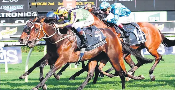  ?? Picture / Darryl Sherer ?? Sofia Rosa gives Stephen Marsh a strong hand in the Breeders’ Stakes which will now be run at Te Rapa on Saturday.