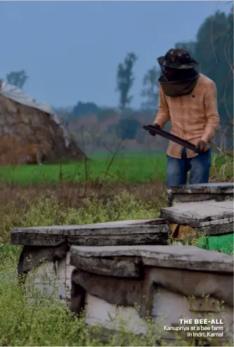  ?? YASIR IQBAL ?? THE BEE-ALL Kanupriya at a bee farm in Indri, Karnal