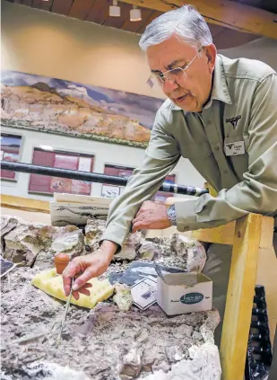  ?? PHOTOS BY GABRIELA CAMPOS/THE NEW MEXICAN ?? Charles L. Jaynes, president of the National Ghost Ranch Foundation board of directors and chairman of the advisory board for the museums at Ghost Ranch, examines on Oct. 10 a fossilized skeleton in one of the 30 blocks removed from the Whitaker Dinosaur Quarry at the Ruth Hall Museum of Paleontolo­gy.