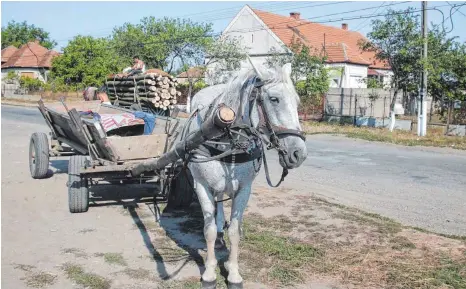  ?? FOTO: VOLKER STRÄHLE ?? Ein Leben wie in längst vergangene­n Zeiten: Dieses Foto aus dem Sathmarer Land entstand erst vor knapp fünf Jahren.