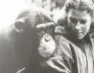  ??  ?? Nelson, who was a primatolog­ist before becoming a broadcaste­r, with a chimp in 1980.