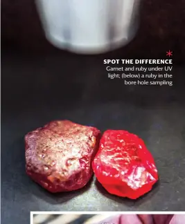  ??  ?? SPOT THE DIFFERENCE Garnet and ruby under UV light; (below) a ruby in the bore hole sampling