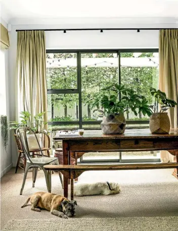  ?? PHOTO: JANE USSHER ?? House plants make a room feel alive, and a home well cared for. Put them in every room.