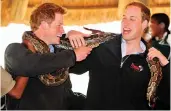  ?? — AP ?? A file photograph shows Britain’s Princes William ( right) and Prince Harry pose with an African Rock Python at the Mokolodi nature reserve near Gaborone, Botswana.