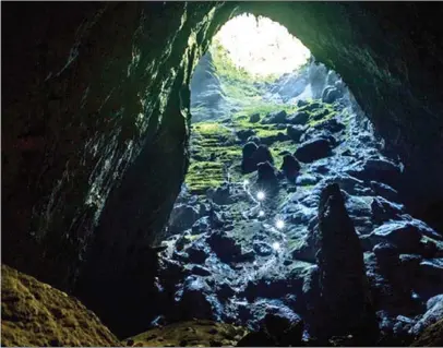  ?? BVHTTDL.GOV.VN/VNS ?? Not only in the forest and the cave, visitors can trek through 25km of mountain forest roads with uneven terrain, exploring about 9km of the cave. The tour includes the use of vines over rocky ascent.