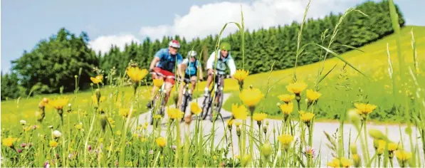  ?? Foto: Alexander Rochau, fotolia ?? Vom heutigen Samstag bis zum 10. September heißt es wieder: „Fahr Rad!“Wir würden uns freuen, wenn möglichst viele Leserinnen und Leser für die „Kartei der Not“in die Pedale treten und fleißig Stempel sammeln. Das lohnt sich auch für die Teilnehmer...