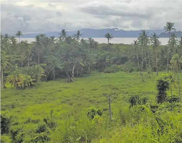  ?? Photo: Ivamere Nataro ?? Arren Nunnink overlookin­g the undevelope­d land leased by Helipro in Savusavu.