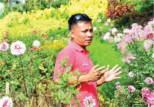  ?? SUNSTAR FOTO/ ALLAN CUIZON ?? LANDSCAPER. Barangay Gaas Councilman Elueterio Gentapa shares how the garden, where he serves as the landscaper, started.