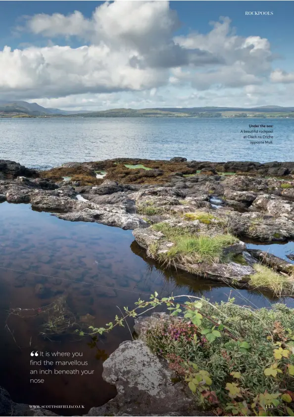  ??  ?? Under the sea: A beautiful rockpool at Clach na Criche opposite Mull.