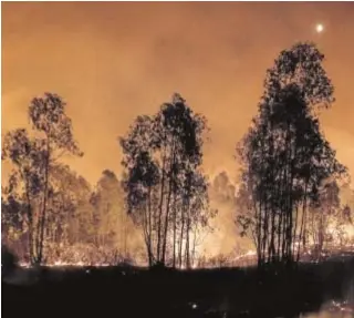  ?? EFE/DAVID ARJONA ?? Superficie forestal quemada por un incendio