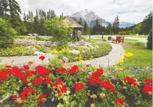  ?? GAVIN YOUNG ?? Banff expects a slower summer with the loss of internatio­nal tourists due to the pandemic, but hopes Canadians will visit.