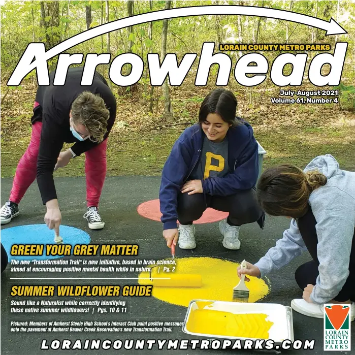  ??  ?? Pictured: Members of Amherst Steele High School's Interact Club paint positive messages onto the pavement at Amherst Beaver Creek Reservatio­n's new Transforma­tion Trail.