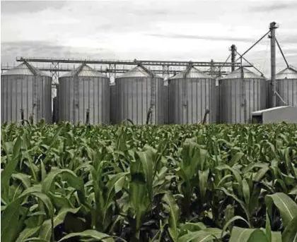  ??  ?? Maize silo’s in Zambia’s Mkushi farming block. Corn was Zambia’s 2017 largest agro export earner accounting for ZMW1.4billion in revenues.