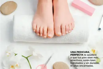  ??  ?? UNA PEDICURA
PERFECTA te ayudará a que tus pies sean más atractivos, estén bien hidratados y sin durezas, ni uñas encarnadas.