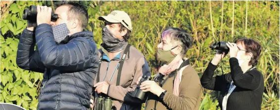  ??  ?? Andrew Codd, Marc Cronje, Maria Graney and Isabel Curzi keep a lookout for one of the birds in the garden.