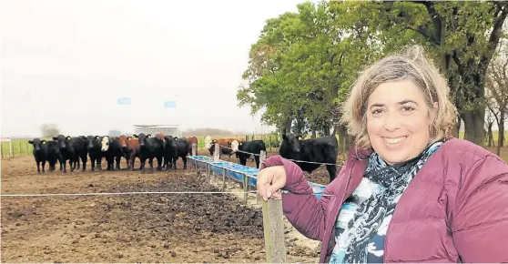  ??  ?? Potrero. Cuando armó su plantel de madres, a mediados de los 90, Deni eligió la razas Angus y Hereford para buscar vigor híbrido en las cruzas.