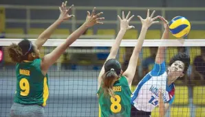  ??  ?? Bacolod’s Alyssa Bertolano defies FEU-Diliman’s Louise Torres and Ciarra Miner’s defense to score a hit during their Rebisco Volleyball League clash in Sta. Rosa, Laguna.